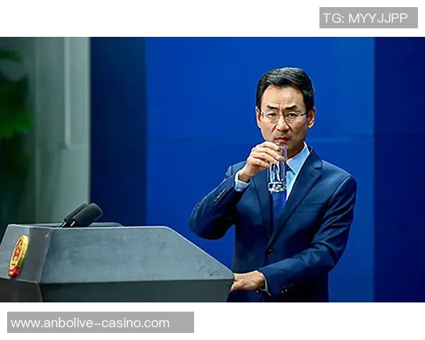 赖斯的外交策略与全球局势变迁的深刻影响分析